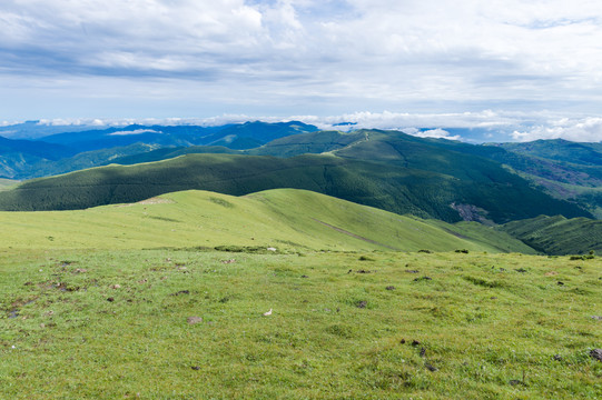 大朝台