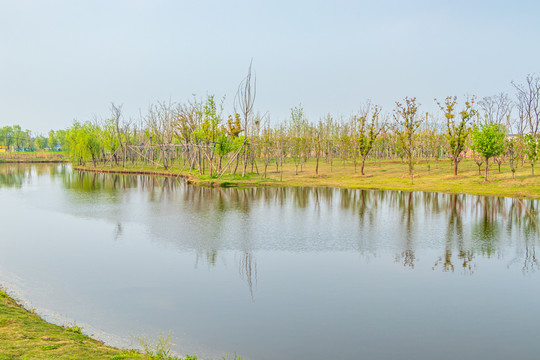 湿地公园