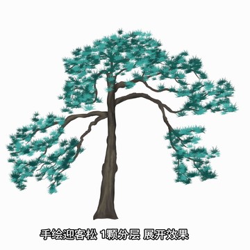 迎客松插畫