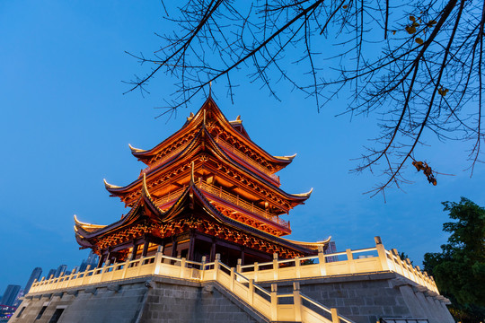 宜宾长江地标广场夹镜楼夜景