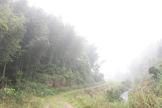 乡村早晨