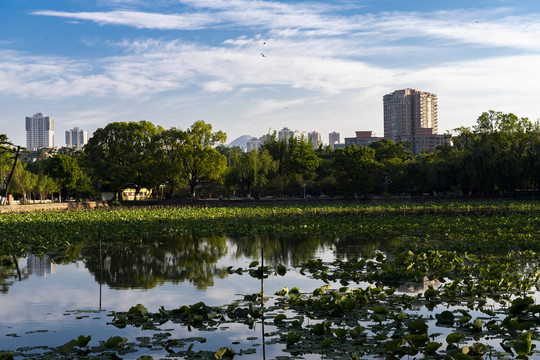 昆明翠湖