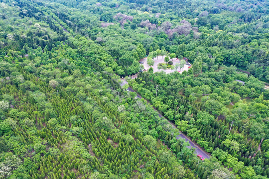 山东青州云门山森林公园