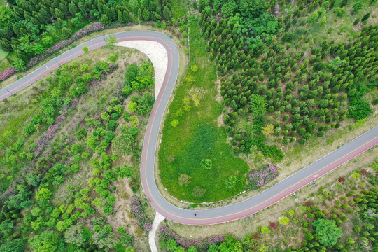 山东青州云门山森林公园