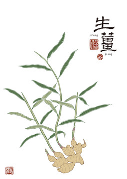 生姜