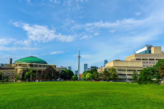 多伦多大学