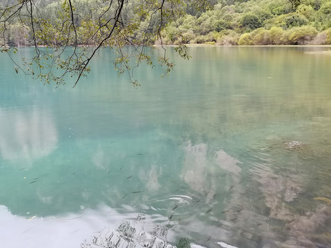 九寨沟的水