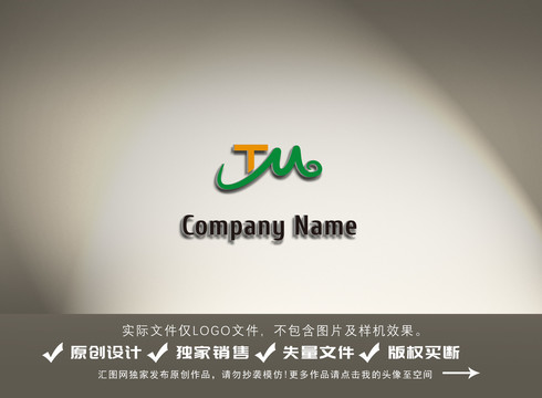 TM字母logo