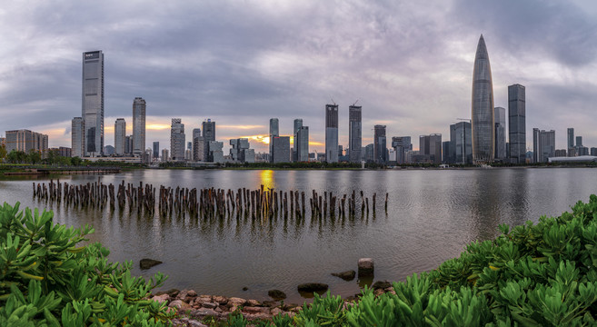 深圳湾全景