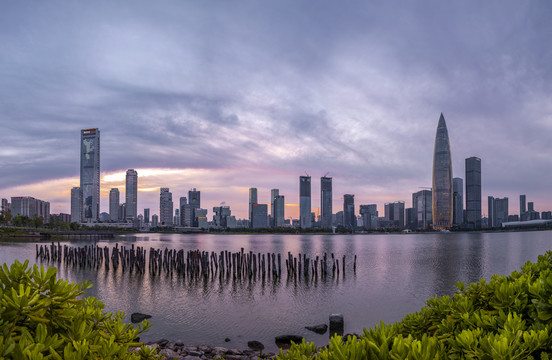 深圳湾全景