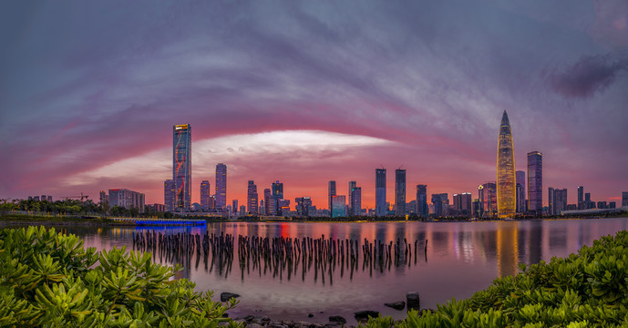 深圳湾全景