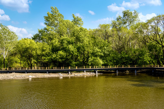 蓝天森林湖水风景