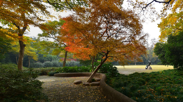 杭州西湖公园曲院风荷景区