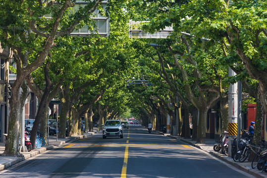 柏油马路