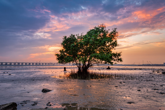 深圳西湾红树林火烧云美景