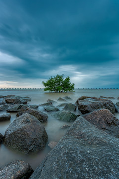 深圳西湾红树林风景