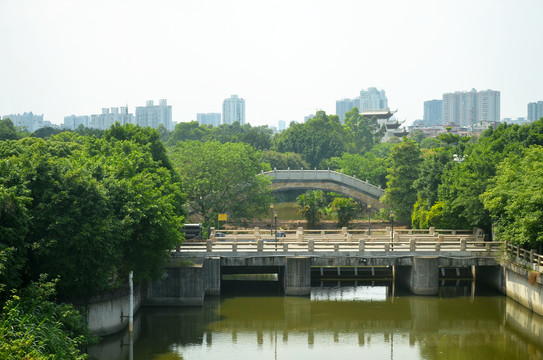 海珠湿地