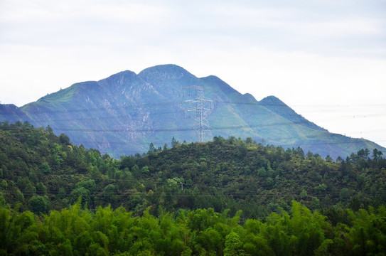 山林