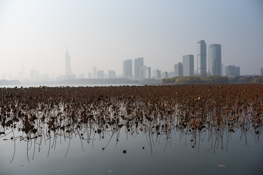 南京玄武湖公园