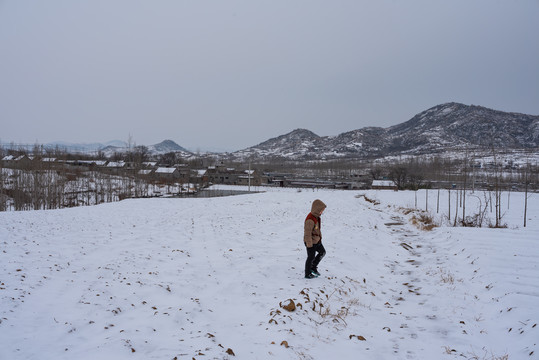 乡村田园田野雪景