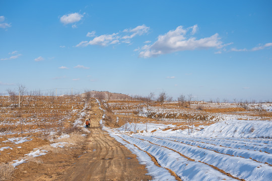 乡村田园雪景