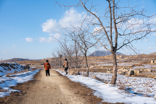 乡村田园雪景