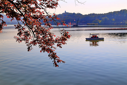 南京玄武湖秋景