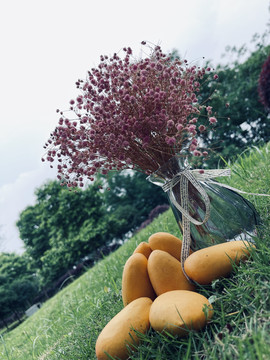 插花干花草地芒果