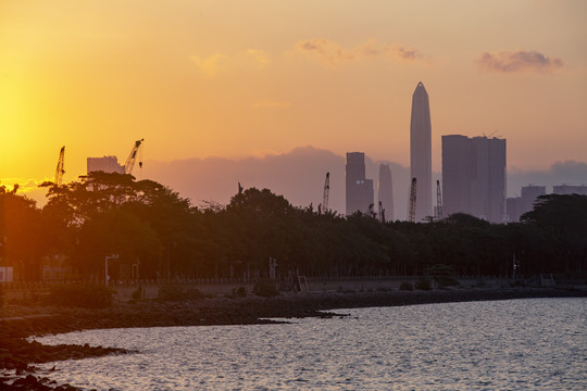 深圳湾日出