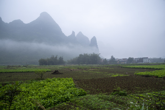 烟雾乡村风景