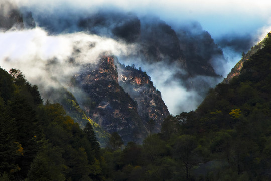 仙山云雾背景