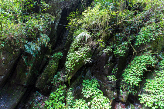 亚木沟景区岩石风光