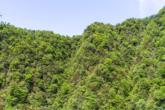 梵净山群山风光