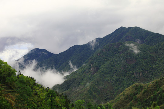 高山白云