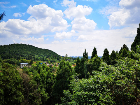 五月的乡村