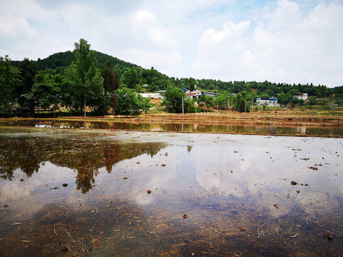 田园风光