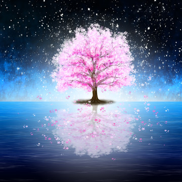 櫻花