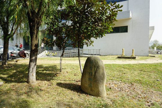 药学植物园