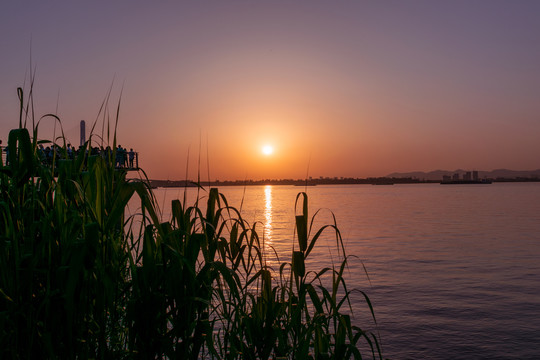 南京鱼嘴湿地公园