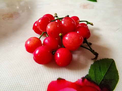 櫻桃
