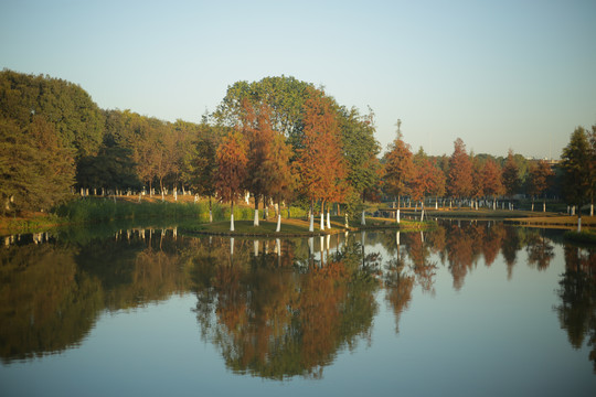 池塘湖泊倒影