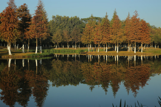 池塘湖泊倒影