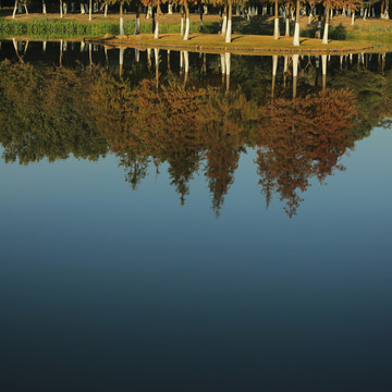 池塘湖泊倒影