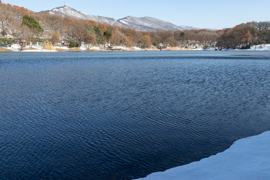 前湖雪景