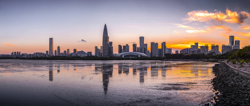 深圳湾全景