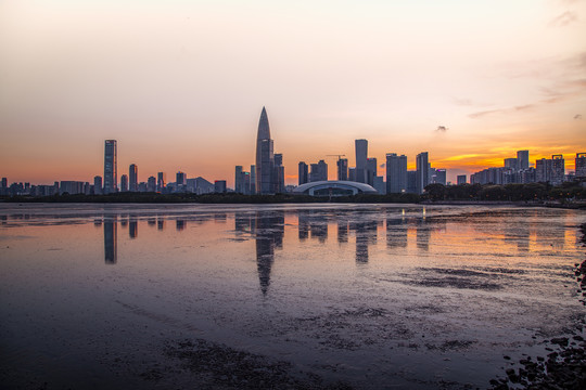 深圳湾全景