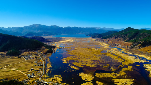 泸沽湖草海