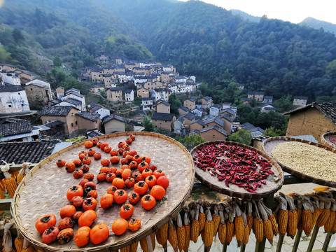 山村秋景