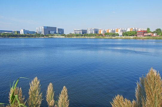 厦门埭辽公园湖面风景