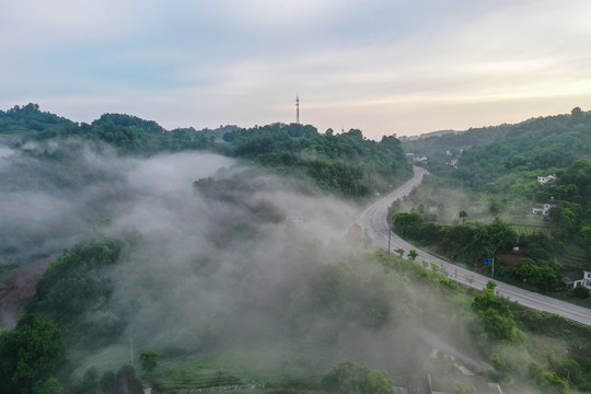 平流雾风光